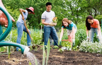 Community Garden Project for Local Neighborhood - Urban gardening and community sustainability