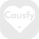 small gray shadow logo of causfy
